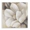 Stupell Industries Magnolia Flower Petals Wall Plaque Art Design by Lanie Loreth